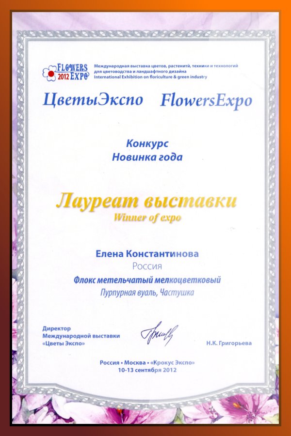 Purpurnaja-Vual-Tshastushka5 Tshastushka - Pilt 1