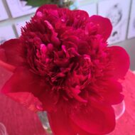Red Charm - Pilt 3