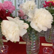 Major A. M. Krekler - Pilt 4