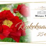 Kinkekaart - 25 eurot